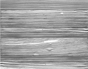 woodgrain sandblasted artcam